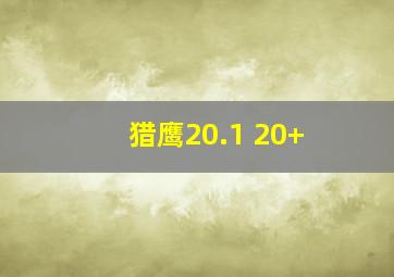 猎鹰20.1 20+